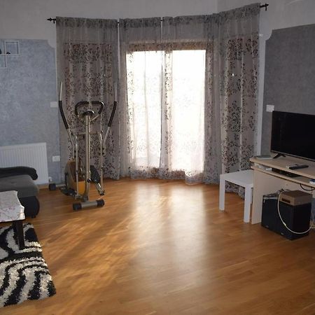 Apartment Iris Novigrad  Zewnętrze zdjęcie