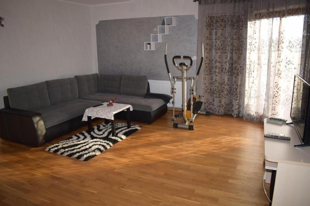 Apartment Iris Novigrad  Zewnętrze zdjęcie