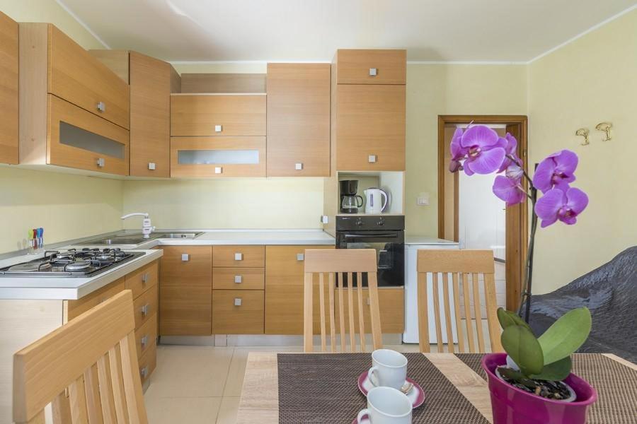 Apartment Iris Novigrad  Zewnętrze zdjęcie