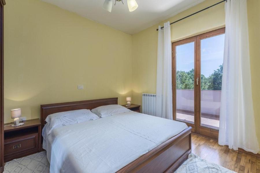 Apartment Iris Novigrad  Zewnętrze zdjęcie