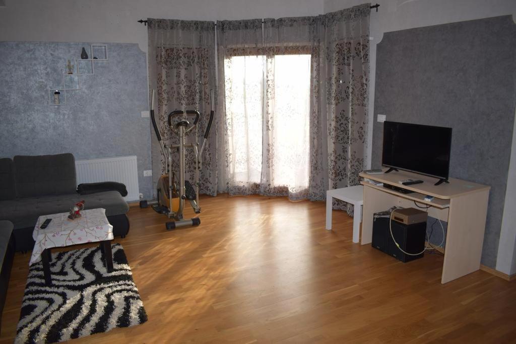 Apartment Iris Novigrad  Zewnętrze zdjęcie