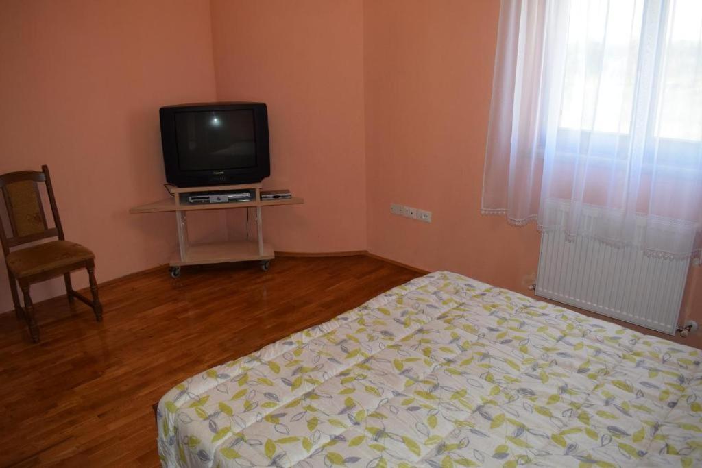 Apartment Iris Novigrad  Zewnętrze zdjęcie