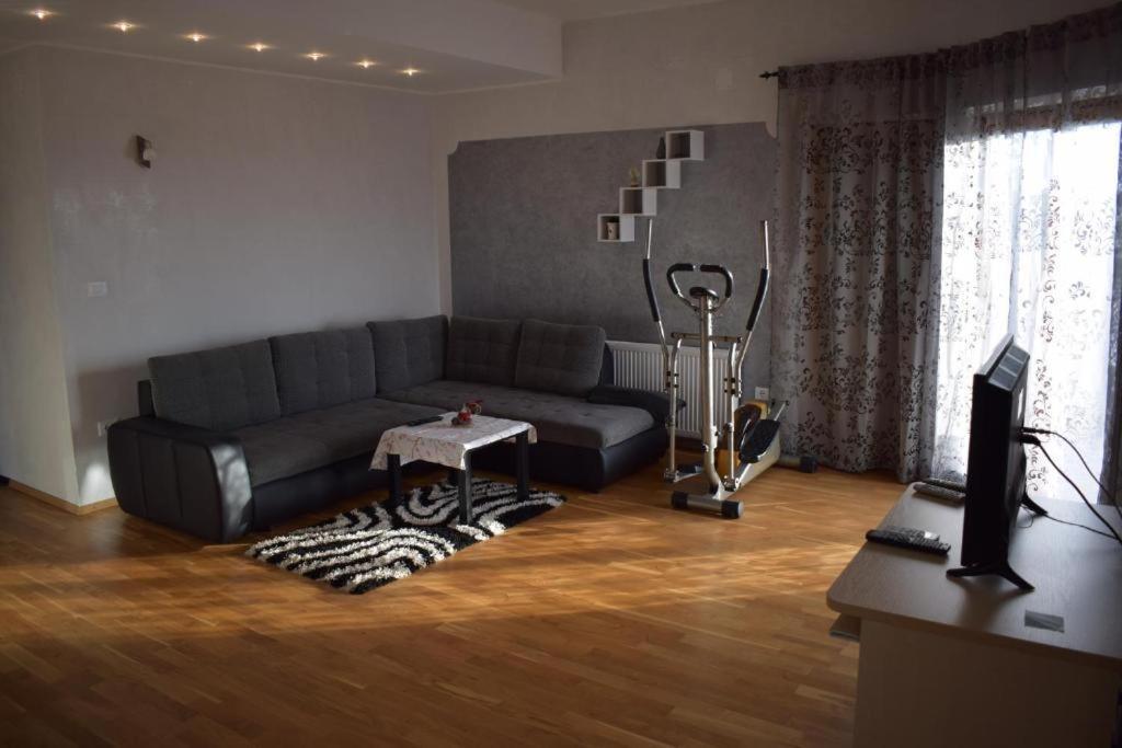 Apartment Iris Novigrad  Zewnętrze zdjęcie