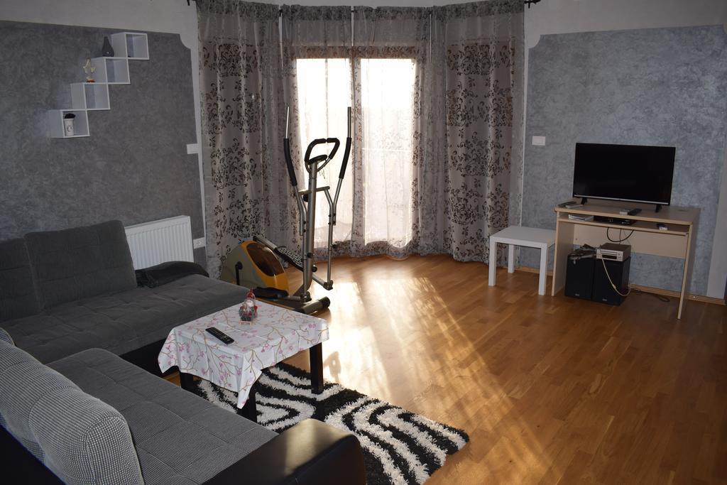 Apartment Iris Novigrad  Zewnętrze zdjęcie