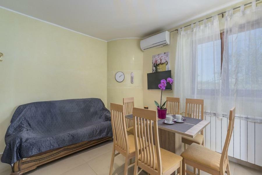 Apartment Iris Novigrad  Zewnętrze zdjęcie