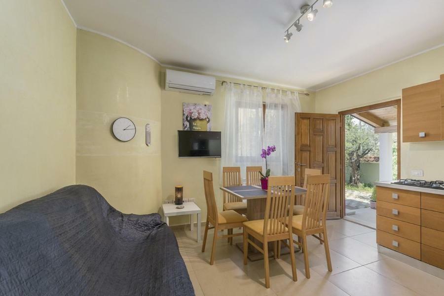 Apartment Iris Novigrad  Zewnętrze zdjęcie