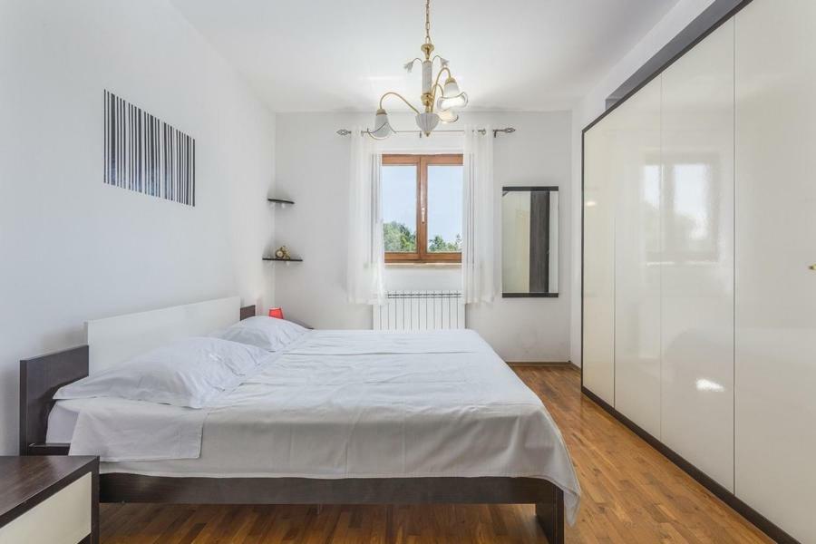 Apartment Iris Novigrad  Zewnętrze zdjęcie